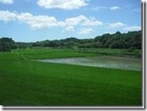 ny02_thumb