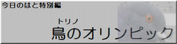 鳥のオリンピック